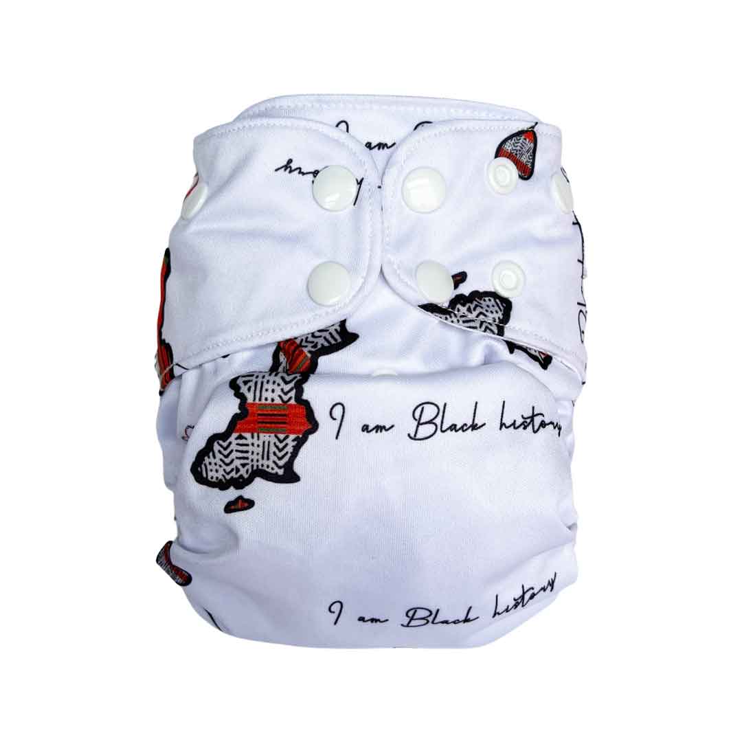 Pocket Diapers - One Size (no inserts)